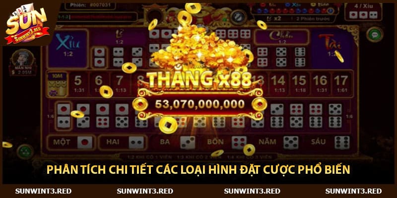 Phân tích chi tiết các loại hình đặt cược phổ biến