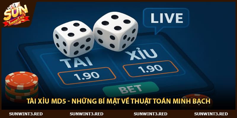 Tài Xỉu MD5 - Những Bí Mật Về Thuật Toán Minh Bạch